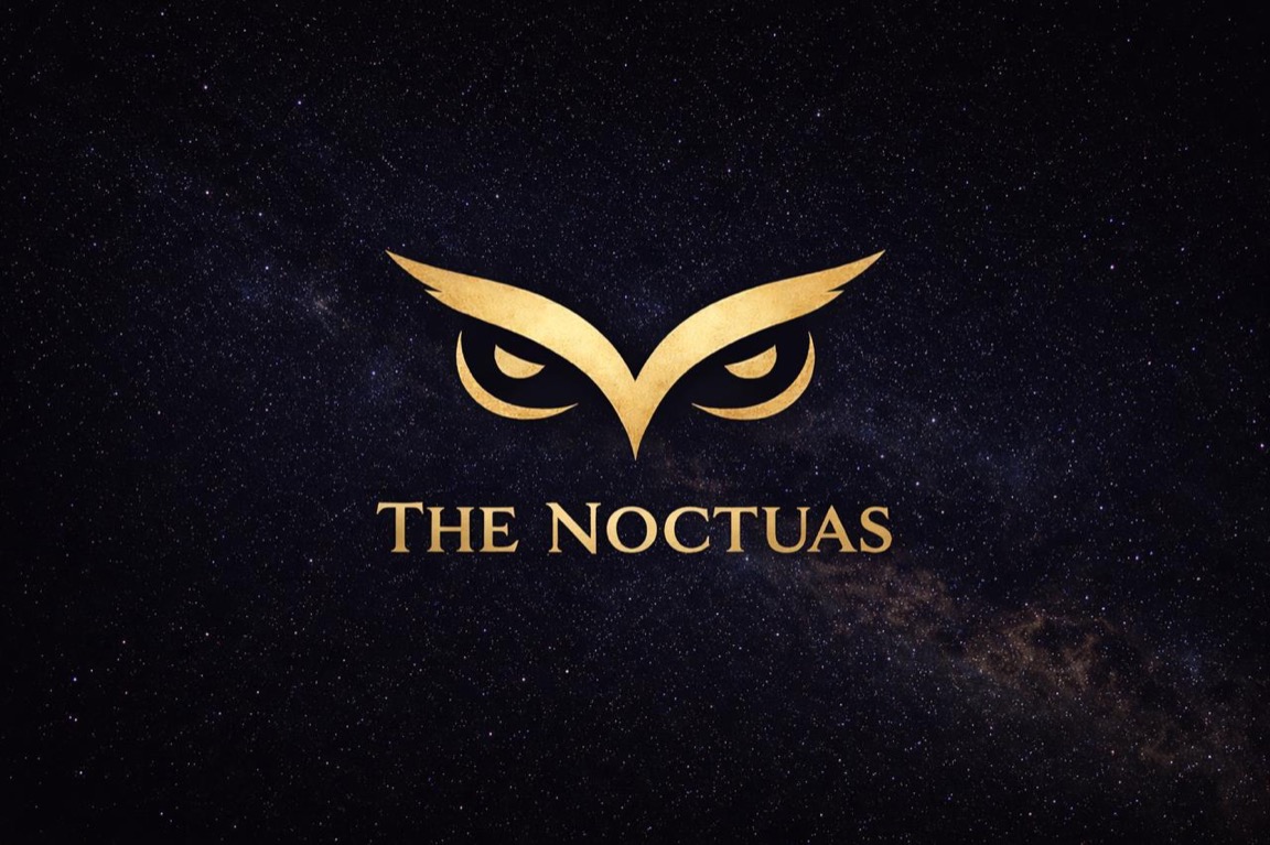 The Noctuas — yeux de chouette dorés sur fond étoilé